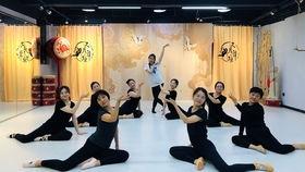 说书人视频舞蹈成人,说书人舞步演绎人生传奇