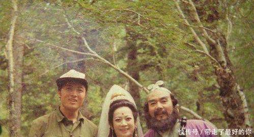 日韩看中国西游记视频,日韩视角下的东方奇幻之旅