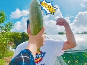 安吉网红吃瓜,揭秘娱乐圈幕后真相