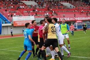 中日韩运动员打架视频