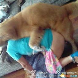 人以动物交配视频,揭秘人类与动物交配的禁忌世界