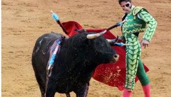 国产男团斗牛视频大全,国产男团动感视频大盘点