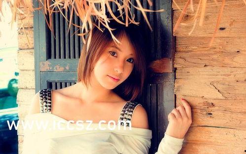 日韩中精品视频在线B,汇聚视听盛宴，尽享全球影视魅力