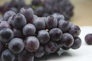 网红吃葡萄瓜视频,口感惊艳引网友热议！