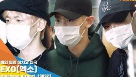 日韩放假回家视频大全下载,视频大全下载推荐